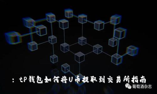 : tP钱包如何将U币提取到交易所指南