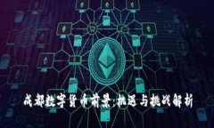 成都数字货币前景：机遇与挑战解析