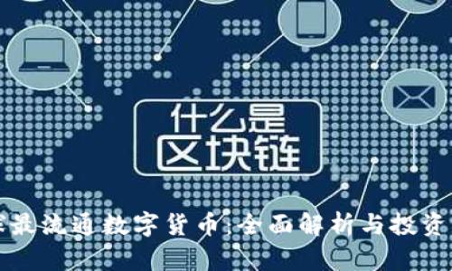 全球最流通数字货币：全面解析与投资指南