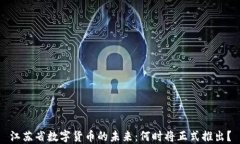 江苏省数字货币的未来：