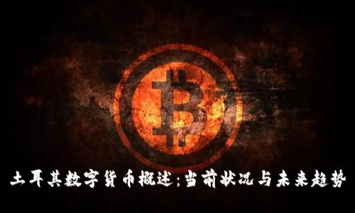 土耳其数字货币概述：当前状况与未来趋势